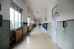 Primaria foto 2