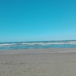 mare